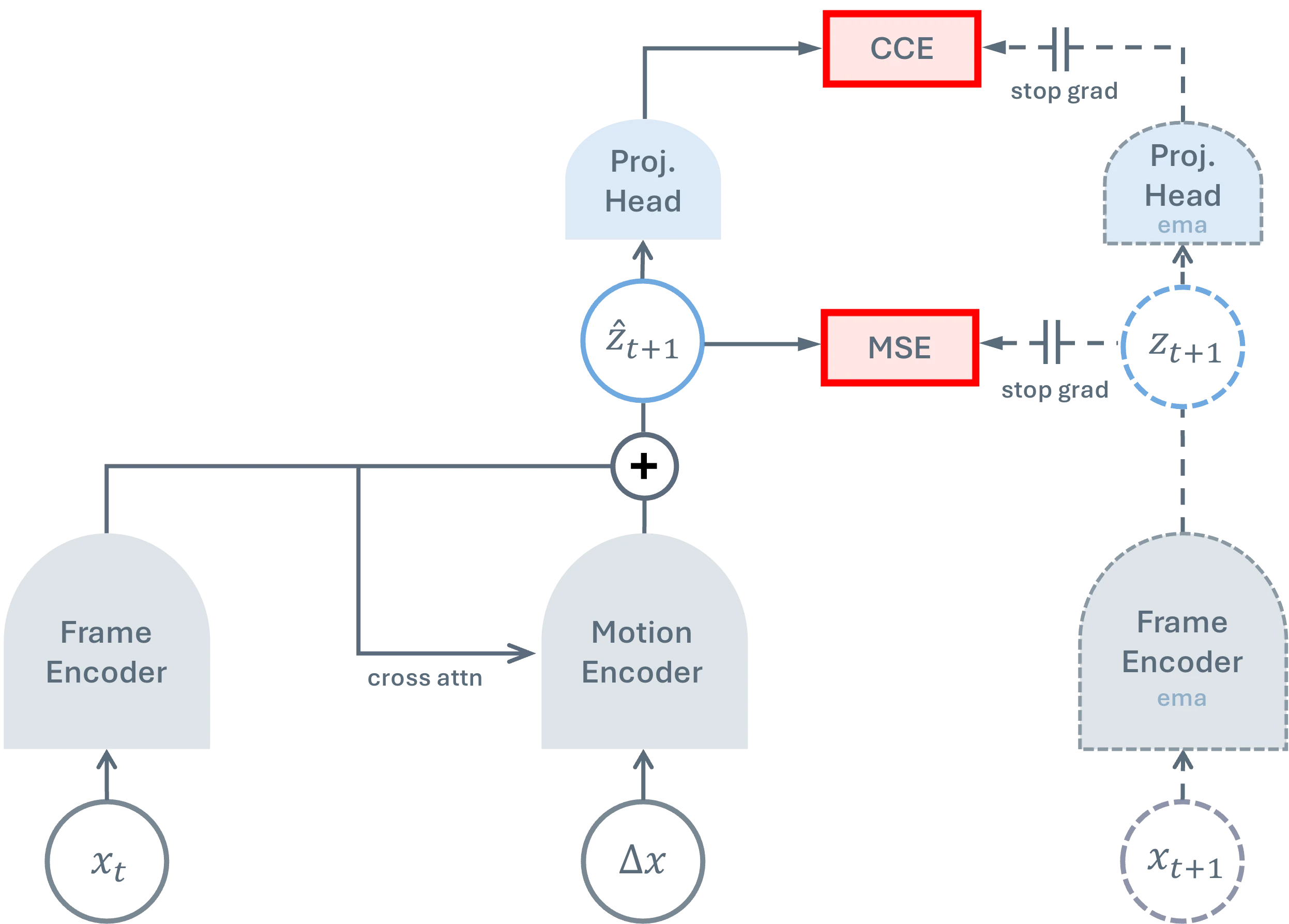 Figure 2: TDV architecture with frame encoder, motion encoder, and teacher-student setup (arXiv:2606.15956, CC BY 4.0)
